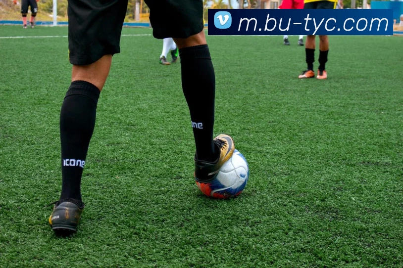 澳门太阳城网站品牌故事